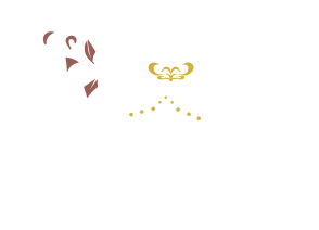 Accueil
